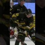 Vad tycker du om domarna? (AIK Hockey mot Modo Hockey i Hockeyallsvenskan i Sverige) (#Shorts)