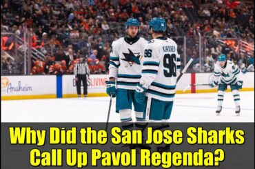 Why Did the San Jose Sharks Call Up Pavol Regenda? | NHL Prospects Analysis