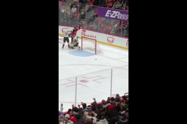 Meier's goal against Vegas is disallowed (offside)