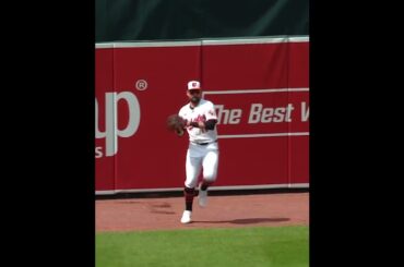 Colton Cowser brings this baseball back!