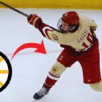 Boston Bruins Pipeline Breakdown: Updated Prospect Rankings!