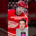 Should the Detroit Red Wings Trade for Quinn Hughes?