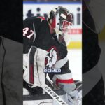 Could James Reimer make a return to the NHL?