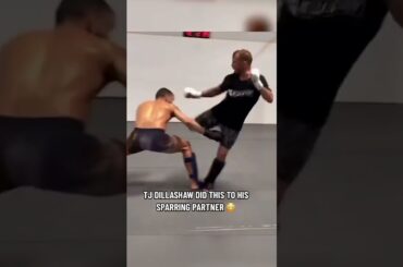 Dillashaw caught his sparring partner 😳 (via tjdillashaw/IG)