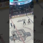 Tyrel Bauer vs Yanick Turcotte HUGE Hockey Fight #nhl #ahl #manitobamoose