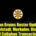 Boston Bruins Roster Updates: Mittelstadt, Merkulov, Blumel, and Callahan Transactions