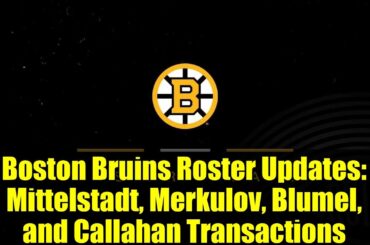 Boston Bruins Roster Updates: Mittelstadt, Merkulov, Blumel, and Callahan Transactions