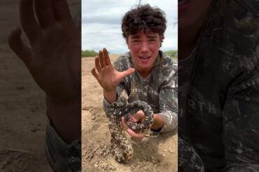 ATTACKED BY A SNAKE 🐍 😳