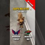 Cujo’s NHL Fetch | Washington Capitals vs Minnesota Wild 🐕 12-16-2025 NHL Hockey