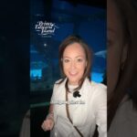 The Big Fish | DEVILS DOWNLOAD