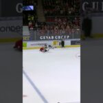 Jonathan Ang och Lars Johansson utvisning (HV71 mot Frölunda HC Scandinavium SHL Sverige) (#Shorts)