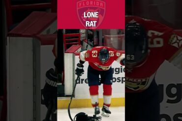 Positive RATtitude 🐀