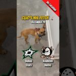 Cujo’s NHL Fetch | Dallas Stars vs Anaheim Ducks 🐕 12-19-2025 NHL Hockey