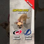 Cujo’s NHL Fetch | Hurricanes vs Lightning 🐕 12-20-2025 NHL Hockey