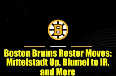 Boston Bruins Roster Moves: Mittelstadt Up, Blumel to IR, and More