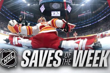 Robbery After Robbery: NHL Goalies Go Insane in Week 10