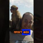 🤣 Как Ники Александров ПОПАДА в Дарик 🤣 #левски #футбол #цска