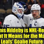 Dennis Hildeby is NHL-Ready: What It Means for the Maple Leafs' Goalie Future