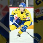 Imagine Liam Öhgren when he is 26-27 years old in front of the net and in the corners!