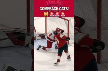 Panthers Break Canes' Hearts AGAIN
