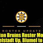 Boston Bruins Roster Moves: Mittelstadt Up, Blumel to LTIR