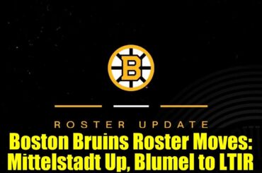 Boston Bruins Roster Moves: Mittelstadt Up, Blumel to LTIR