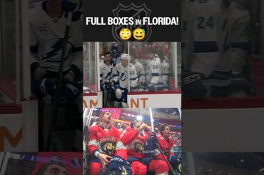 Battle of Florida BOILS OVER 😡