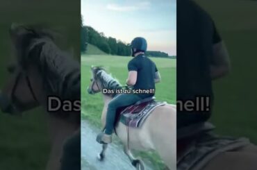 Typisch Nichtreiter, oder? 😂 #riding #reitsport #reiten