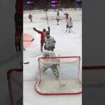 Nicklas Lasu turmål (Frölunda HC mot Färjestad BK i Scandinavium i SHL i Sverige) (#Shorts)