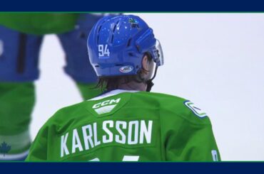 Linus Karlsson 🇸🇪 | ABB Canucks | All (23) AHL Goals from 2024-25