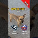 Cujo’s NHL Fetch | Utah Mammoth vs New York Islanders 🐕 01-01-2026 NHL Hockey