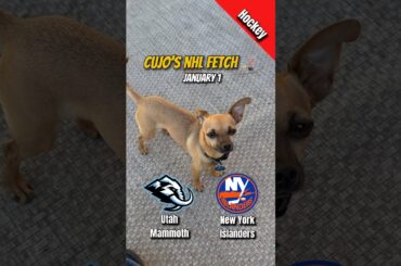 Cujo’s NHL Fetch | Utah Mammoth vs New York Islanders 🐕 01-01-2026 NHL Hockey