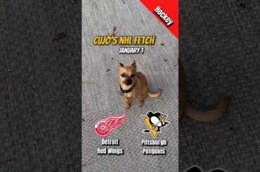 Cujo’s NHL Fetch | Detroit Red Wings vs Pittsburgh Penguins 🐕 01-01-2026 NHL Hockey