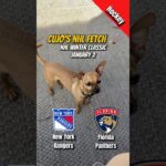 Cujo’s NHL Fetch | New York Rangers vs Florida Panthers 🐕 2026 Winter Classic