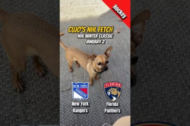 Cujo’s NHL Fetch | New York Rangers vs Florida Panthers 🐕 2026 Winter Classic