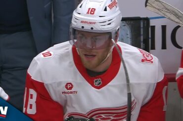Red Wings' Andrew Copp Gifted Easy Goal After Wild Bounce Off The Glass