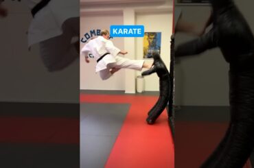 Karate vs. Master Ken 👊