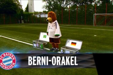Brasilien vs. Deutschland - Das Berni-Orakel