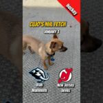 Cujo’s NHL Fetch | Utah Mammoth at New Jersey Devils 🐕 01-03-2026 NHL Hockey