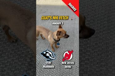 Cujo’s NHL Fetch | Utah Mammoth at New Jersey Devils 🐕 01-03-2026 NHL Hockey