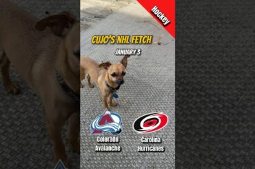 Cujo’s NHL Fetch | Colorado Avalanche @ Carolina Hurricanes 🐕 01-03-2026 NHL Hockey