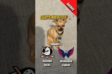 Cujo’s NHL Fetch | Anaheim Ducks vs Washington Capitals 🐕 01-05-2026 NHL Hockey