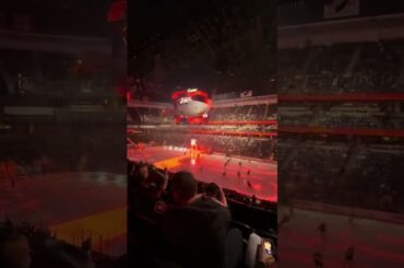 Nail Art at an Anaheim Ducks Game