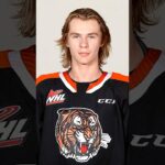 If the #Canucks get to draft 1st overall, who should they pick?