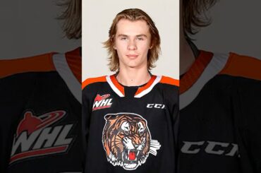 If the #Canucks get to draft 1st overall, who should they pick?