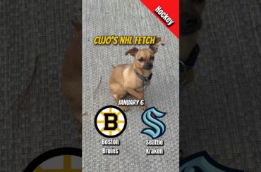 Cujo’s NHL Fetch | Boston Bruins vs Seattle Kraken 🐕 01-06-2026 NHL Hockey