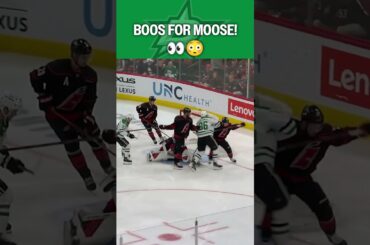 Moose gets BOOED! 🫎