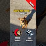 Ottawa Senators vs Utah Mammoth — January 7, 2026 | NHL | Cujo Catches