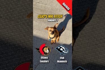 Ottawa Senators vs Utah Mammoth — January 7, 2026 | NHL | Cujo Catches