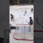 Snygg räddning av Adam Åhman (Växjö Lakers HC mot Rögle BK i Vida Arena i SHL i Sverige) (#Shorts)